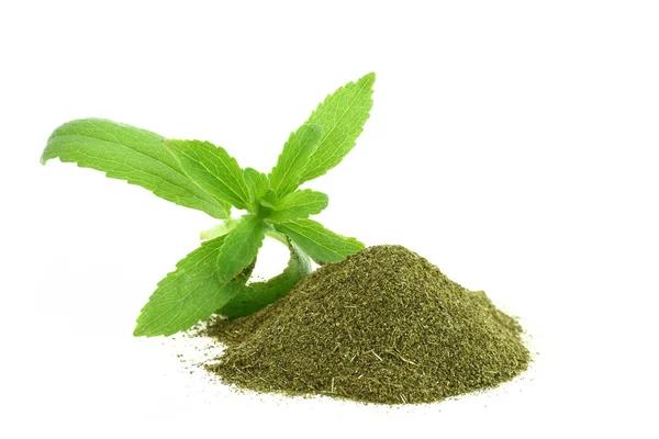 Happy Go Leafy: Exploring Kratom Powder Varieties